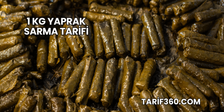 1 Kg Yaprak Sarma Tarifi
