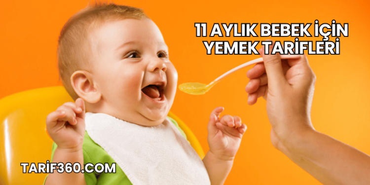 11 Aylık Bebek İçin Yemek Tarifleri
