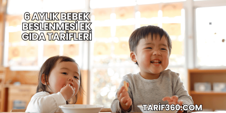 6 Aylık Bebek Beslenmesi Ek Gıda Tarifleri