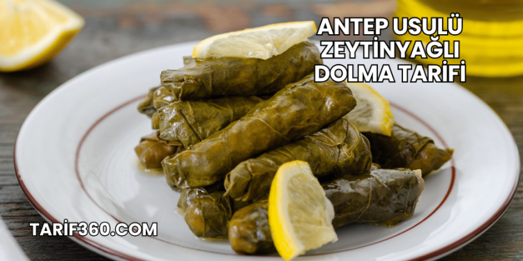 Antep Usulü Zeytinyağlı Dolma Tarifi