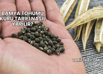 Bamya Tohumu Kürü Tarifi Nasıl Yapılır?