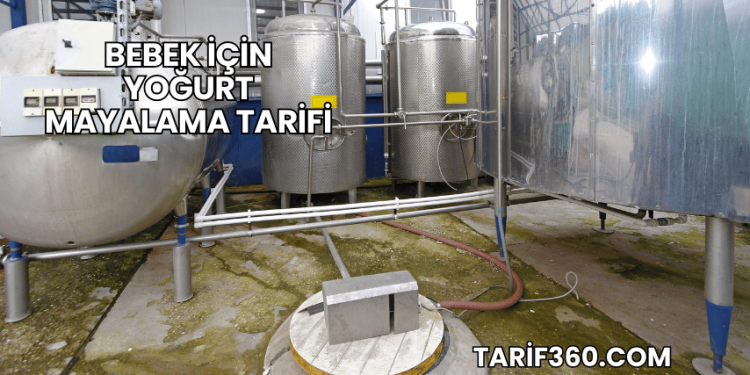 Bebek İçin Yoğurt Mayalama Tarifi