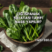 Çiğ Ispanak Salatası Tarifi Nasıl Yapılır?