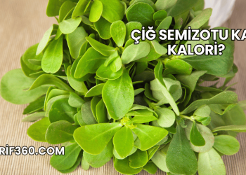 Çiğ Semizotu Kaç Kalori?