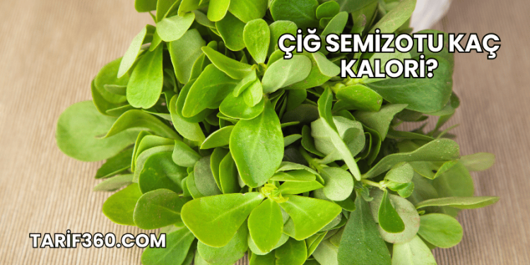 Çiğ Semizotu Kaç Kalori?