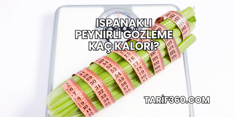 Ispanaklı Peynirli Gözleme Kaç Kalori?