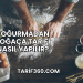 Yoğurmadan Poğaça Tarifi Nasıl Yapılır?