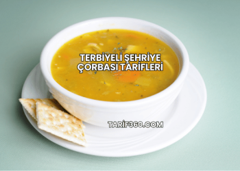 Terbiyeli Şehriye Çorbası Tarifleri