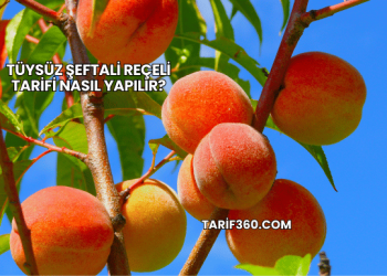 Tüysüz Şeftali Reçeli Tarifi Nasıl Yapılır?