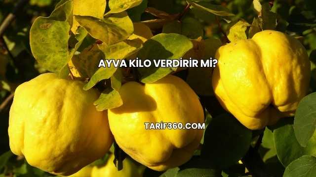 Ayva Kilo Verdirir mi?