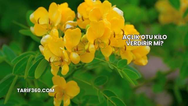 Açlık Otu Kilo Verdirir mi?
