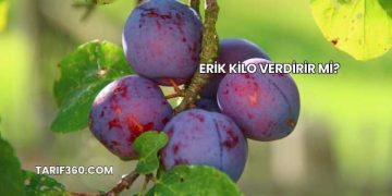 Erik Kilo Verdirir mi?